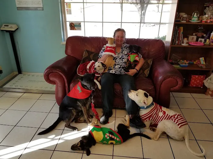 Awesome Care Veterinary and Laser Center Picture 8