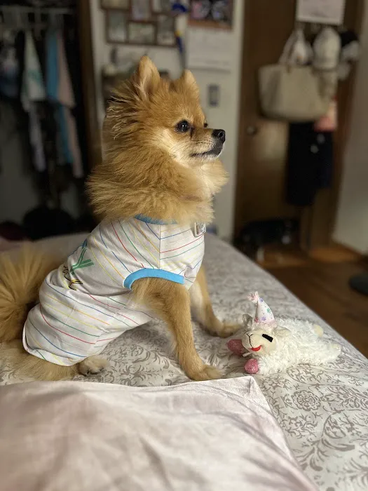 Bella SPCA Non-Profit Veterinary Hospital Picture 2