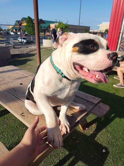 Bella SPCA Non-Profit Veterinary Hospital Picture 6