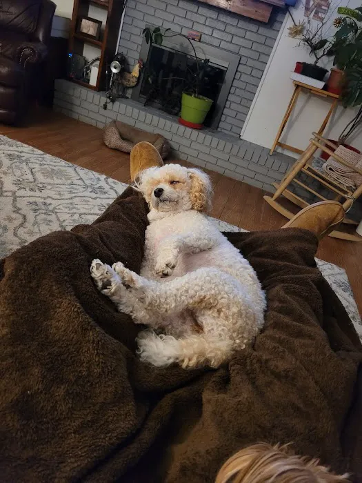 Bella SPCA Non-Profit Veterinary Hospital Picture 3