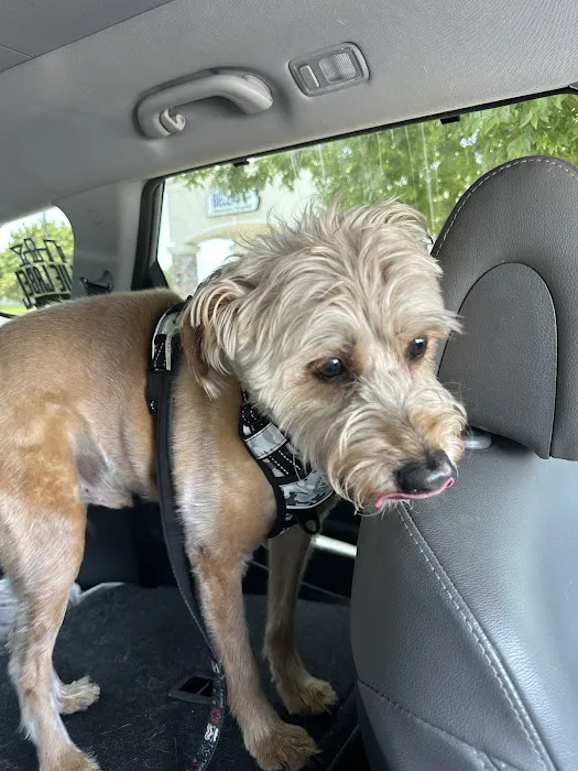 Bella SPCA Non-Profit Veterinary Hospital Picture 8