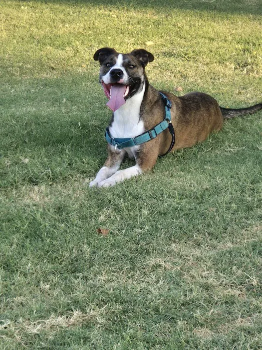 Bella SPCA Non-Profit Veterinary Hospital Picture 10