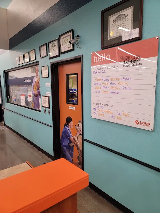 Banfield Pet Hospital Picture 1