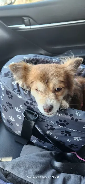 Banfield Pet Hospital Picture 2