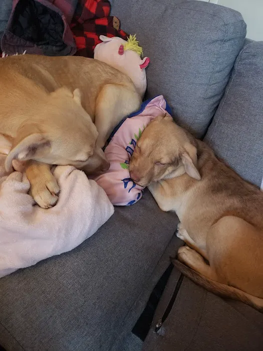 Banfield Pet Hospital Picture 6