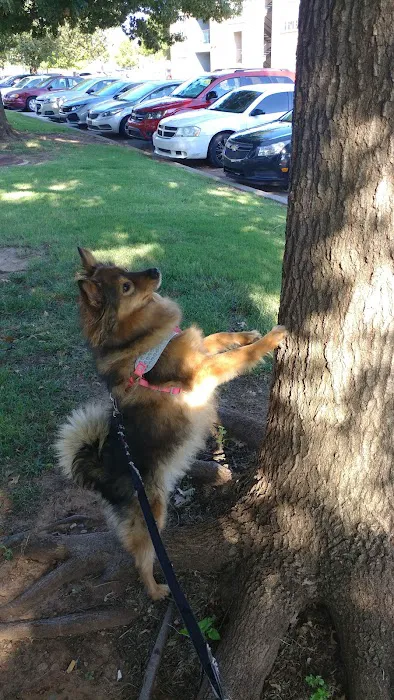 Banfield Pet Hospital Picture 8