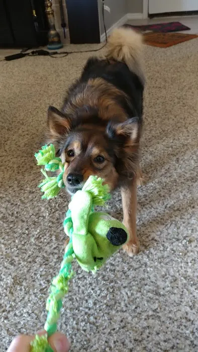 Banfield Pet Hospital Picture 9