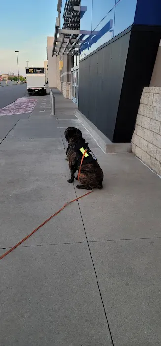 Banfield Pet Hospital Picture 7