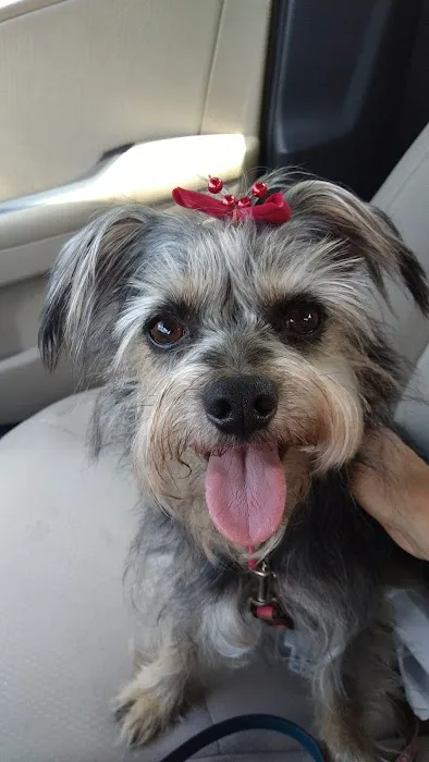 Schrag Animal Clinic Picture 3