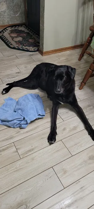 Schrag Animal Clinic Picture 4