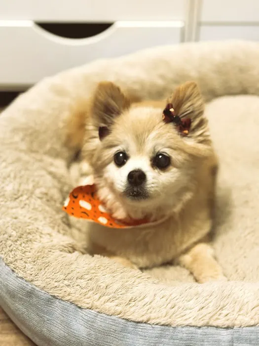 Schrag Animal Clinic Picture 1