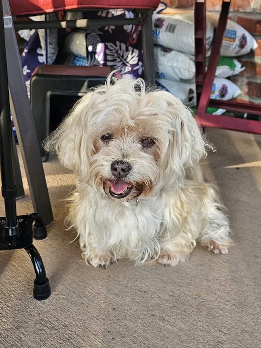 Schrag Animal Clinic Picture 6