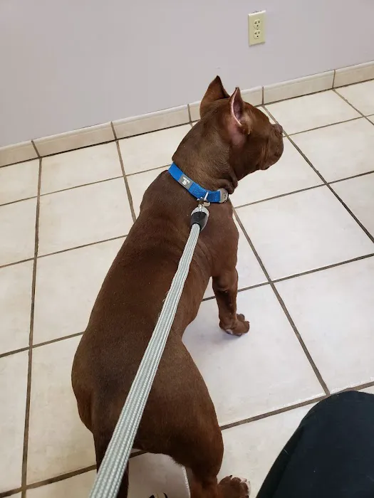 Schrag Animal Clinic Picture 5