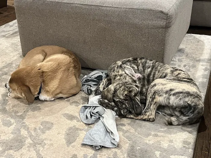 Schrag Animal Clinic Picture 8