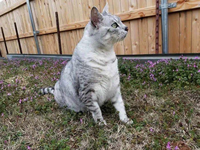 Schrag Animal Clinic Picture 9