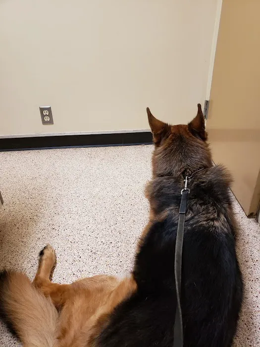 Animal Wellness Center of OKC Picture 1