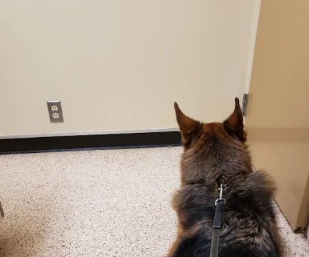 Animal Wellness Center of OKC