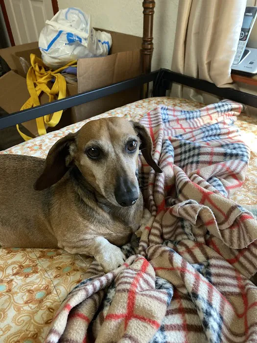 Animal Wellness Center of OKC Picture 10