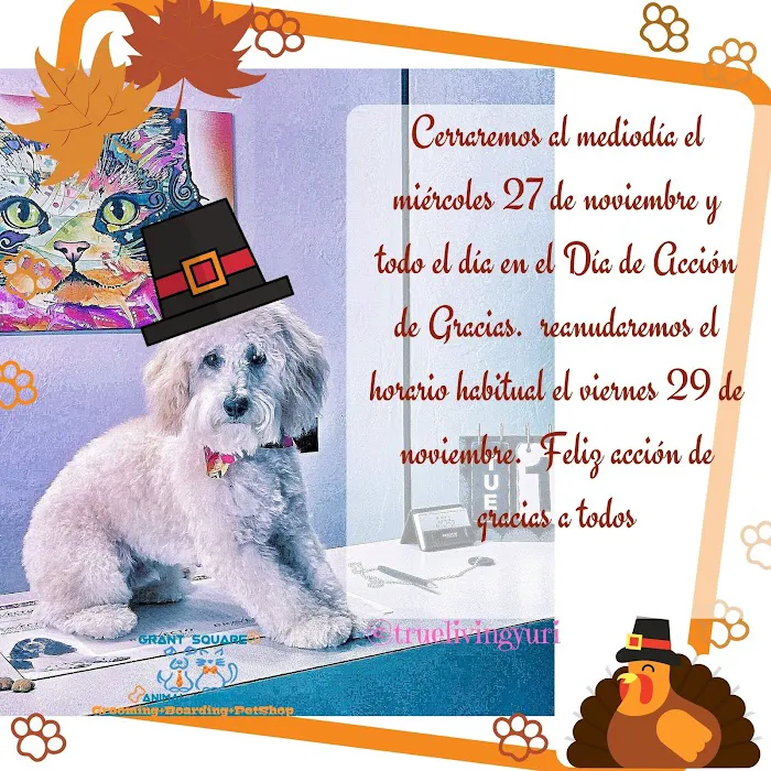 Grant Square Animal Hospital Picture 5