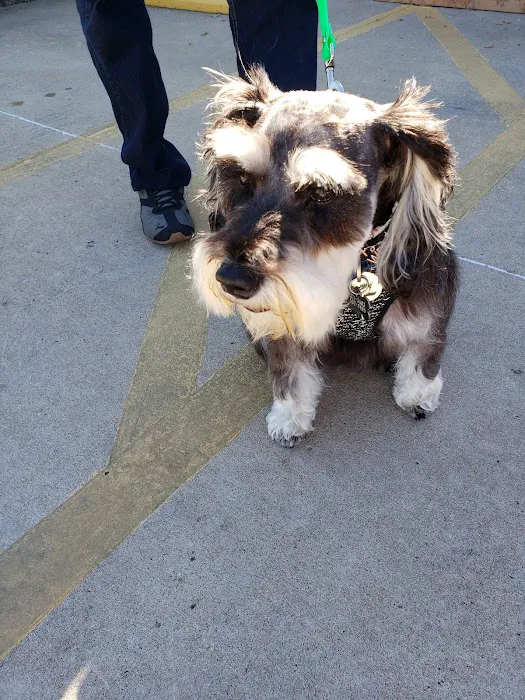 Grant Square Animal Hospital Picture 4