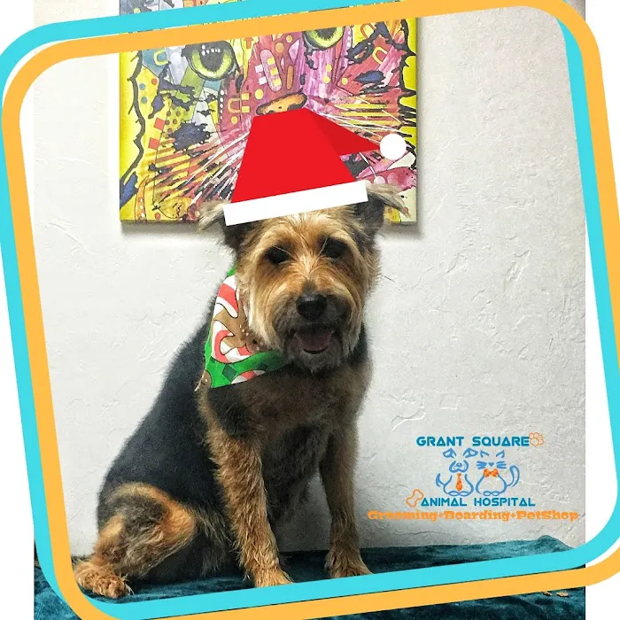 Grant Square Animal Hospital Picture 7