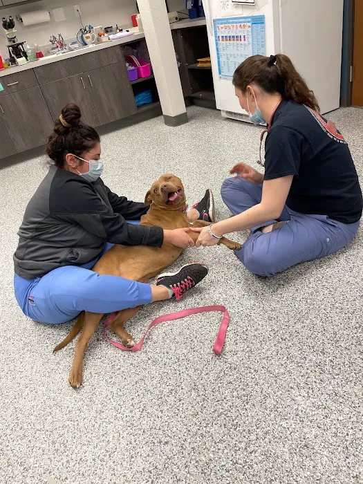 Swaim Veterinary Clinic Picture 1