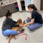 Swaim Veterinary Clinic