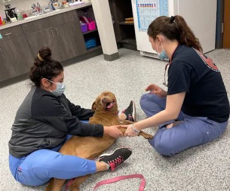 Swaim Veterinary Clinic