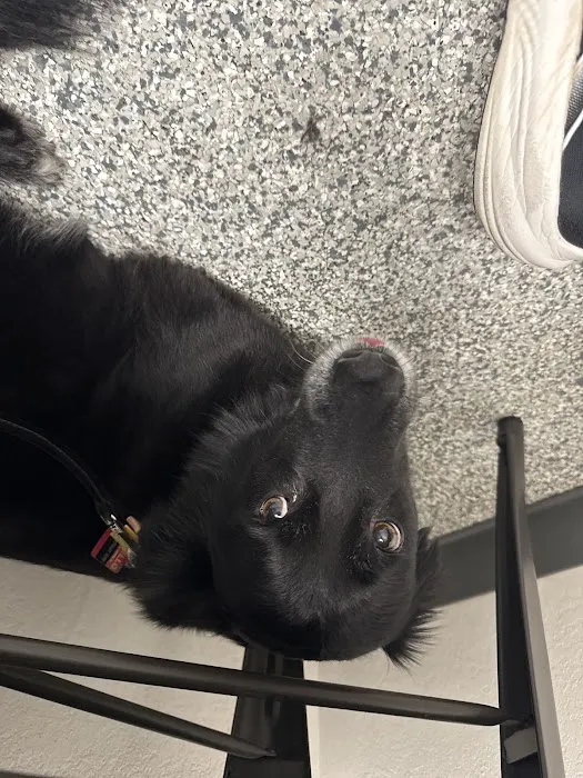 Swaim Veterinary Clinic Picture 5