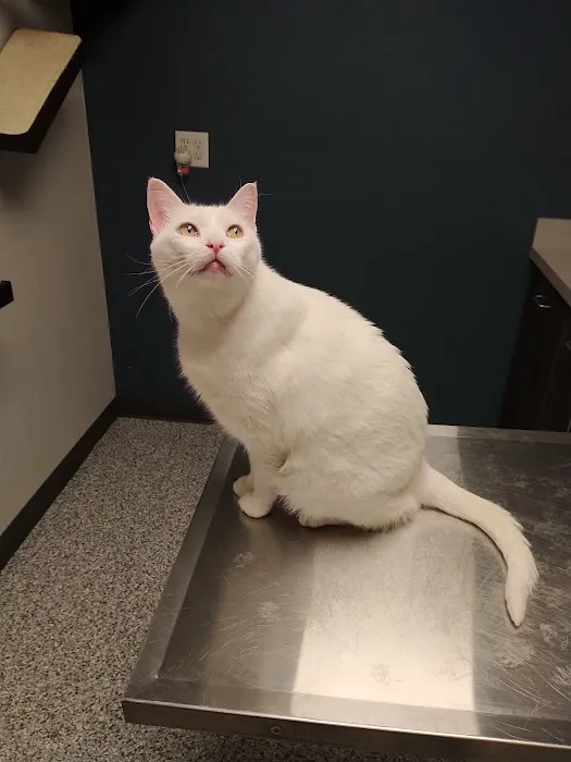 Swaim Veterinary Clinic Picture 3