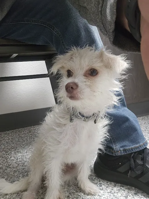 Swaim Veterinary Clinic Picture 6