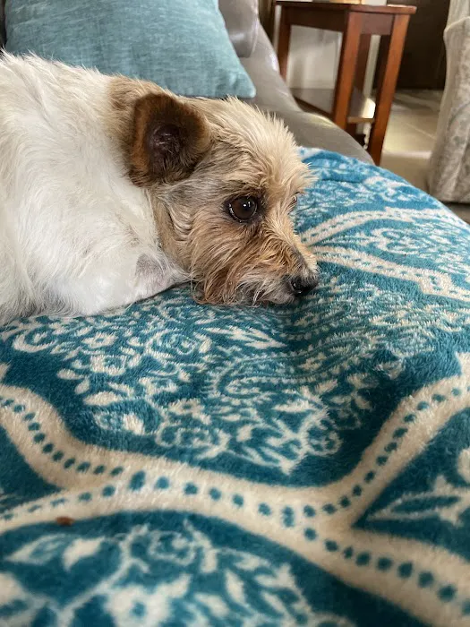 Swaim Veterinary Clinic Picture 4