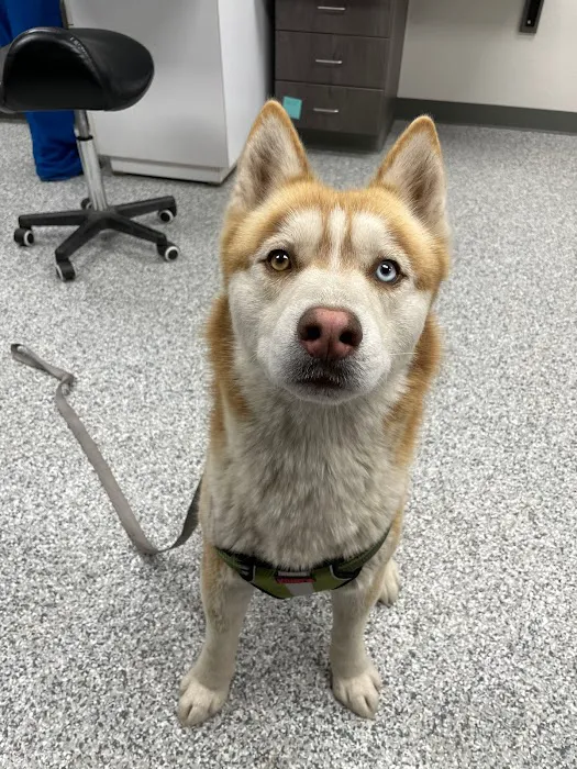 Swaim Veterinary Clinic Picture 7