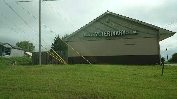 Capstone Veterinary Care Picture 4