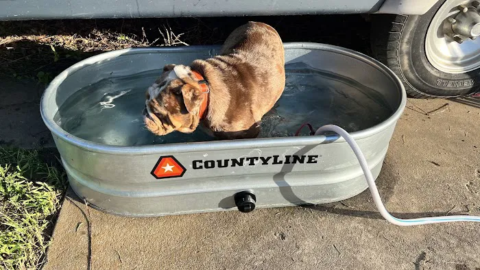 Capstone Veterinary Care Picture 7