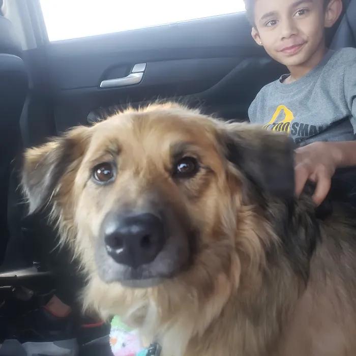 Green Briar Animal Hospital Picture 3