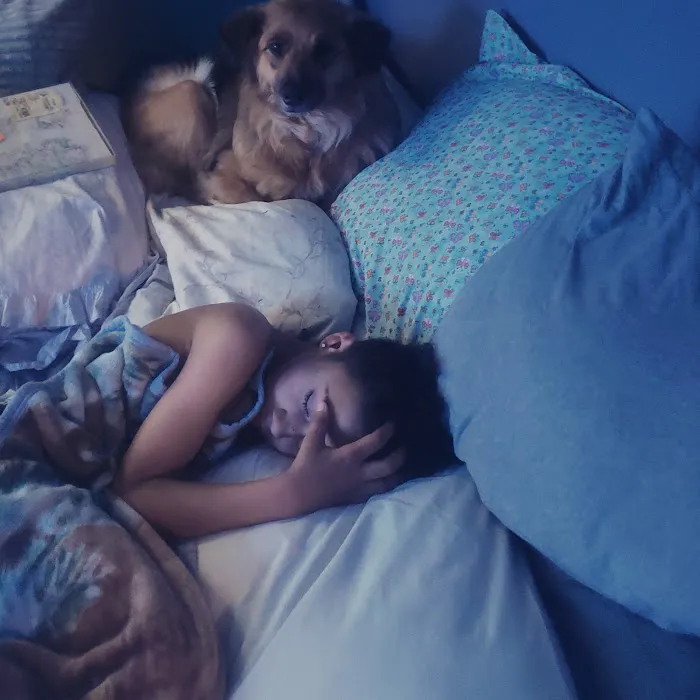 Green Briar Animal Hospital Picture 6