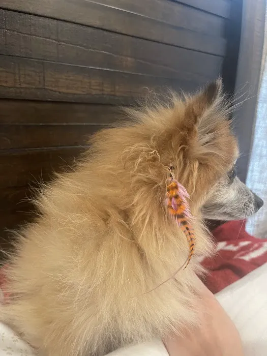 Green Briar Animal Hospital Picture 7