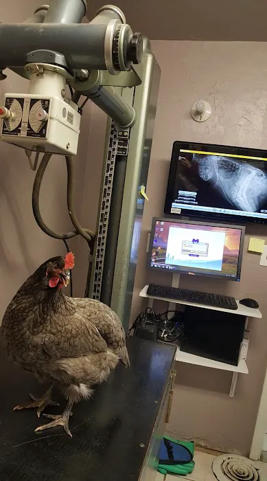 Green Briar Animal Hospital Picture 10