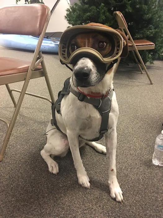 Penn South Pet Clinic Picture 5