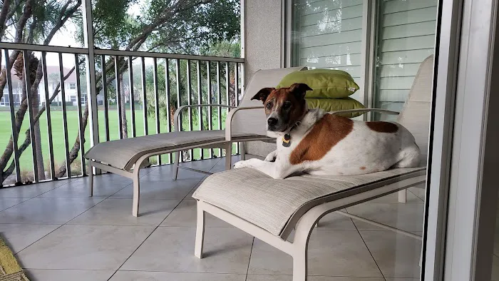 Penn South Pet Clinic Picture 3