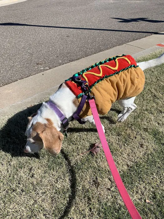 Penn South Pet Clinic Picture 9
