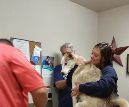 Hilltop Animal Health P.C.