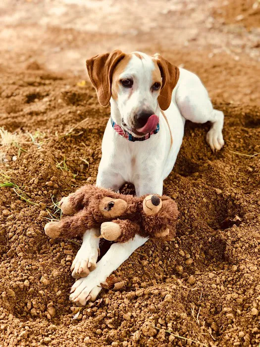 Arbuckle Veterinary Clinic Picture 3