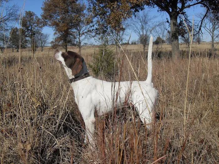 Arbuckle Veterinary Clinic Picture 1