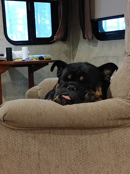 Arbuckle Veterinary Clinic Picture 2