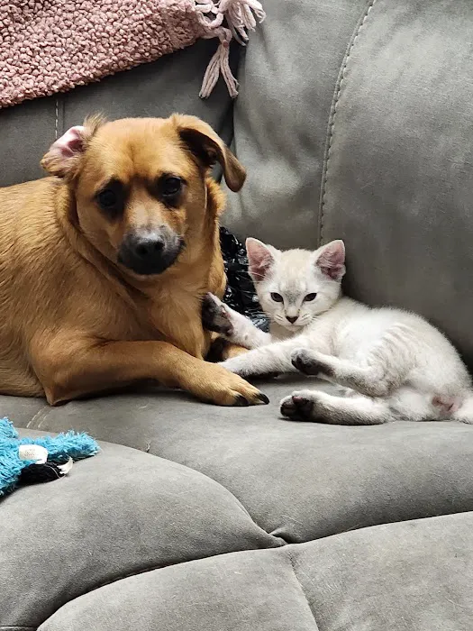 Arbuckle Veterinary Clinic Picture 6