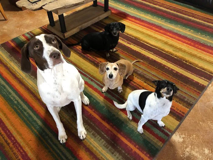 Arbuckle Veterinary Clinic Picture 7