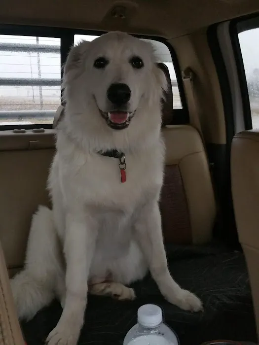 Arbuckle Veterinary Clinic Picture 9