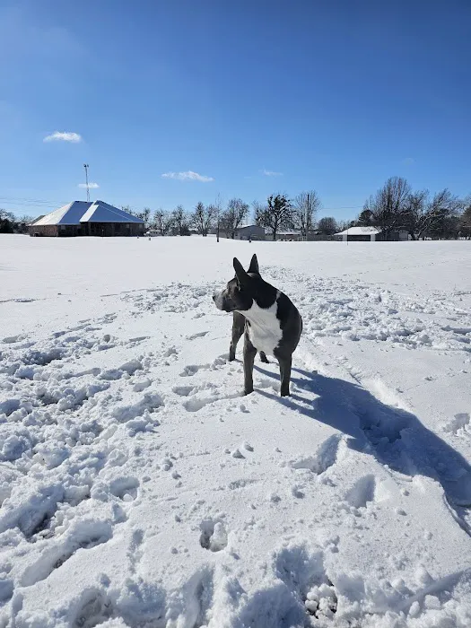 Newcastle Animal Hospital Picture 4